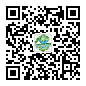 qrcode_for_gh_e9034c145030_344.jpg